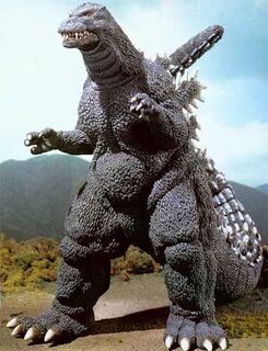 RadoGoji