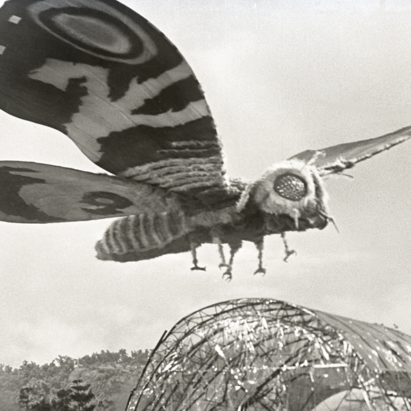 Mothra Mvg Gojipedia Fandom Powered By Wikia