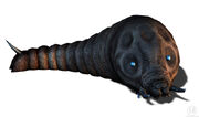 Mothra 1