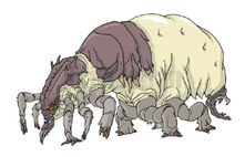 Termite Queen