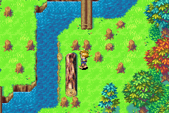 KolimaForestPuzzle1