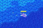 WingsInFlight