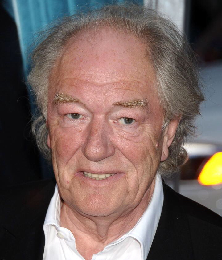 Michael Gambon actor