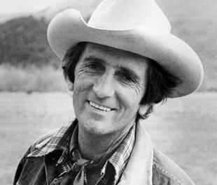 Harry Dean Stanton | The Golden Throats Wiki | Fandom