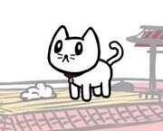 00000000000kitty