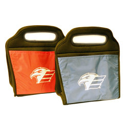 eagles lunch bag