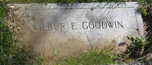 Wilbur E. Goodwin (1847-1905)