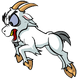 Cursed Goat