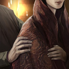 Wedding Cloak