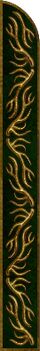 Baratheon Border Right