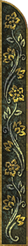 Tyrell Border Right