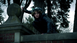 Selina crouched on the perch