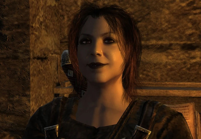 Gothic 2 enhanced edition. Gothic wiki. Готика игра. Готика 2 игра. Gothic wiki.