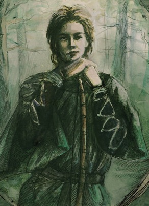 Robin hood by kakao bean-d48swjw