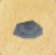 Paleshroom icon