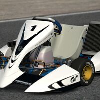Gran Turismo Racing Kart 125 Shifter Gran Turismo Wiki Fandom
