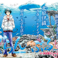 Wallpaper Grand Blue Wiki Fandom For Android
