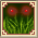 Dg guild1