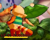 3. Raccoon