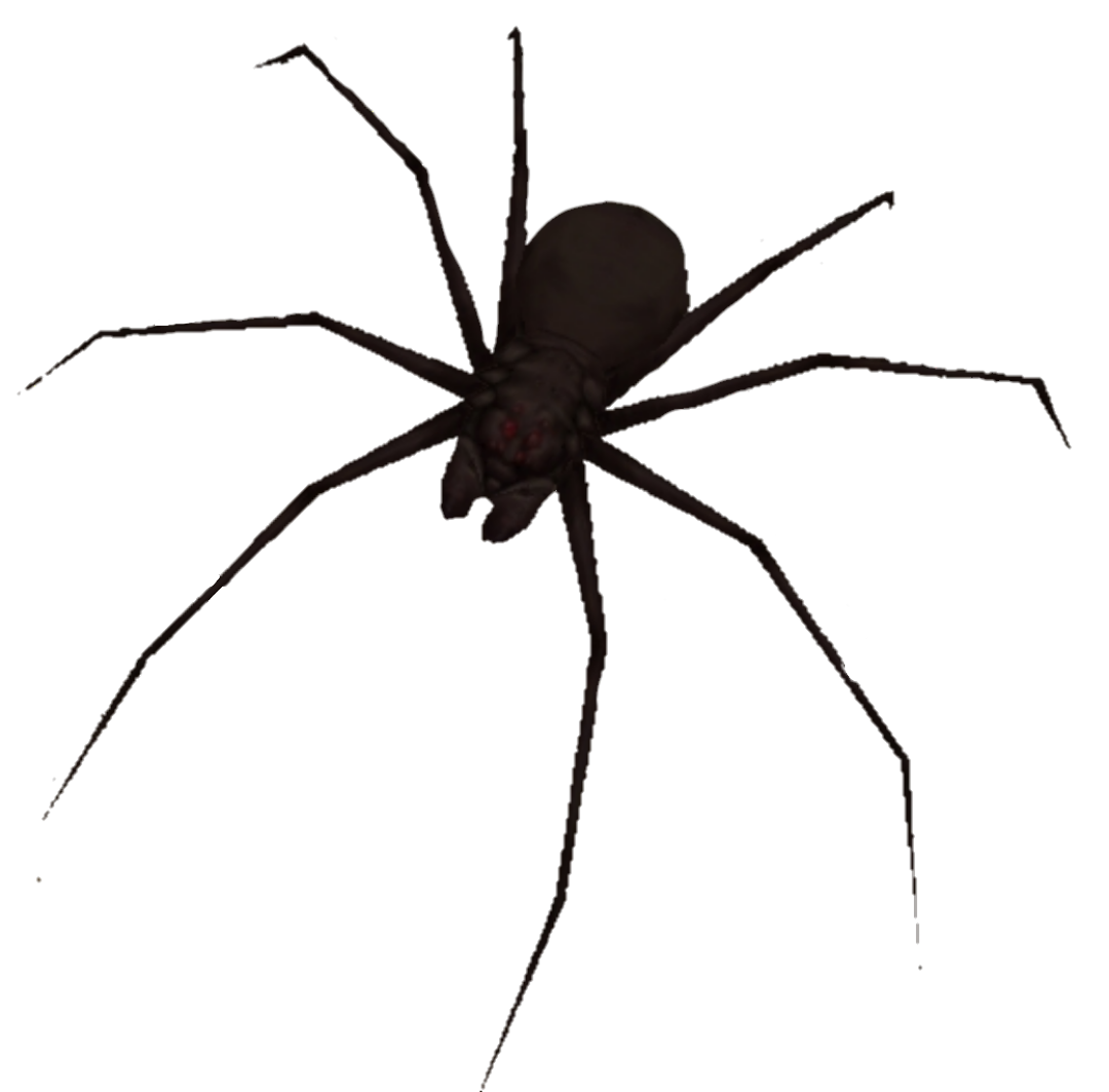 Roblox granny spider pet