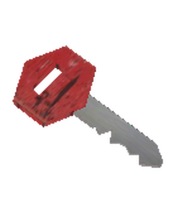 Master Key Granny Wiki Fandom - only one key can open this door in roblox youtube