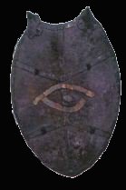 Schild auge