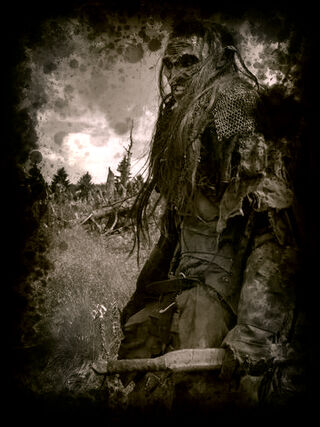 Daruk
