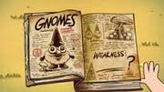 Gnomos3