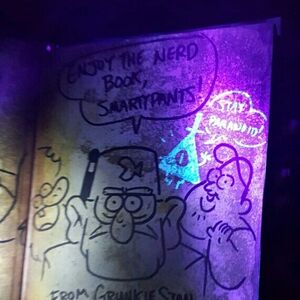 Cipher Hunt Gravity Falls Wiki Fandom