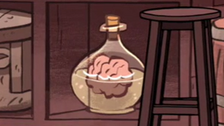 S1e5 brain flask