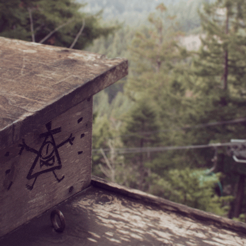 Image Jeffrey Rowe Pyramid 07. Trees of Mystery. Gravity Falls