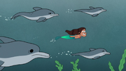 S1e15 swimming with mighty dolphins