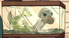 fiji mermaid