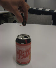 Creation of Pitt Cola