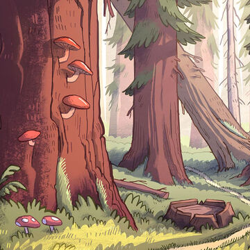 Gravity Falls Forest Gravity Falls Wiki Fandom