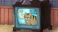 S1e4 tiger fist