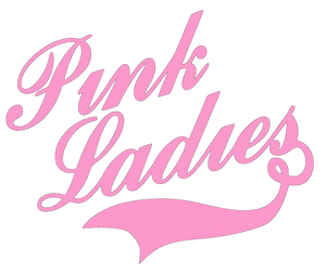 Grease Pink Ladies And T Birds Grease Pink Ladies And T Birds