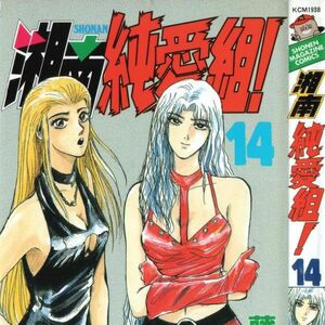 Shonan Junai Gumi Great Teacher Onizuka Gto Wiki Fandom