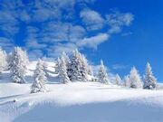 Snow