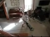 Stephen'sVacuum