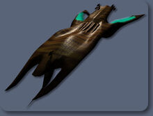 Drakhcruiser