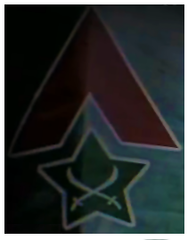 PLR INSIGNIA2