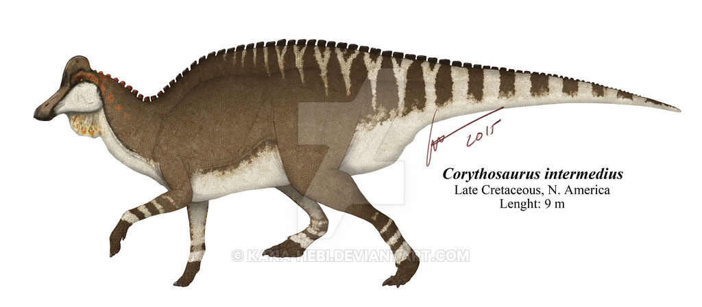safari ltd corythosaurus