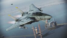 F-14d