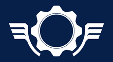 COGFlag