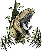 Raptor