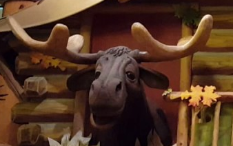 greatwolflodge
