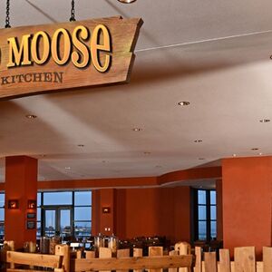 The Loose Moose Cottage Great Wolf Lodge Wiki Fandom