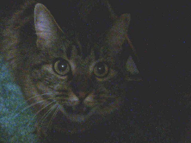 File:Tinker.jpg