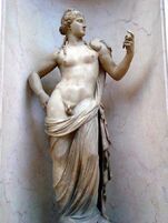 Hermaphroditus02